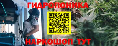 тгк Лесосибирск