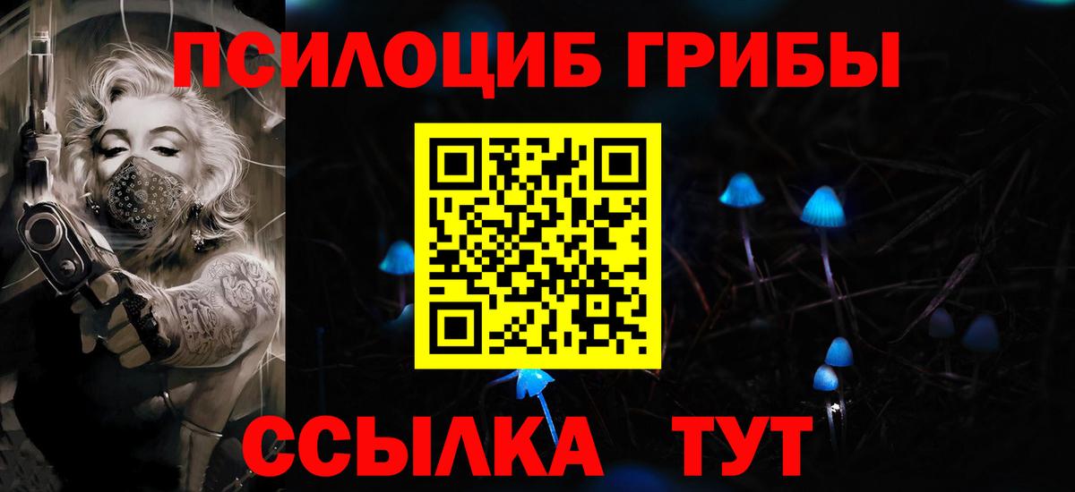 Псилоцибиновые грибы Psilocybine cubensis  Вход с VPN  Галлюциногенные грибы Psilocybine cubensis  Ижевск 
